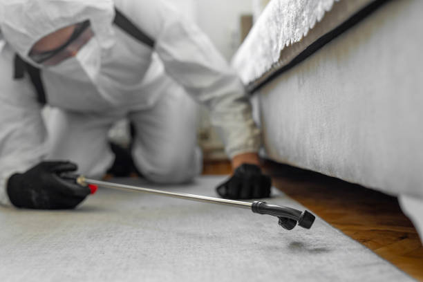 Professional Bed Bug Control technician working in Orange, CA