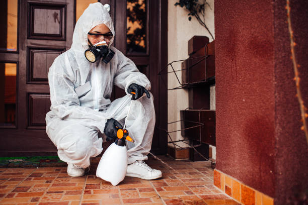 Reliable Bed Bug Control contractor in Orange, CA by Nex Pest Control